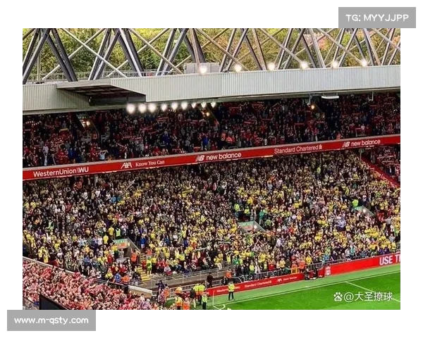 德甲门票收入因天气下滑，俱乐部开发虚拟观赛体验